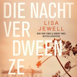 Die nacht verdween ze - luisterboek