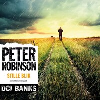 Stille Blik