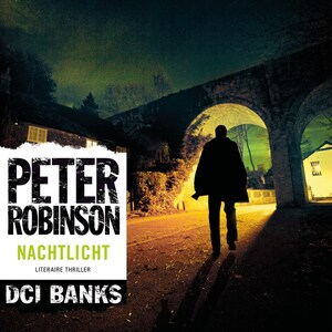 Nachtlicht - luisterboek