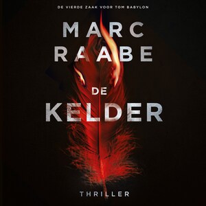 De kelder - luisterboek