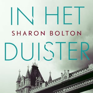 In het duister - luisterboek