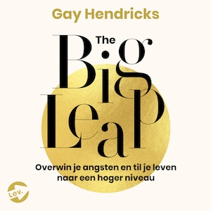 The Big Leap - luisterboek