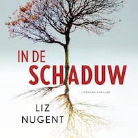 In de schaduw
