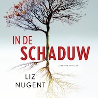 In de schaduw