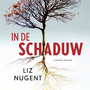 In de schaduw - luisterboek