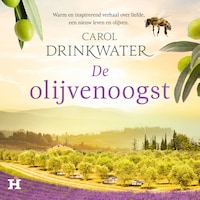 De olijvenoogst