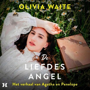 De liefdesangel - luisterboek
