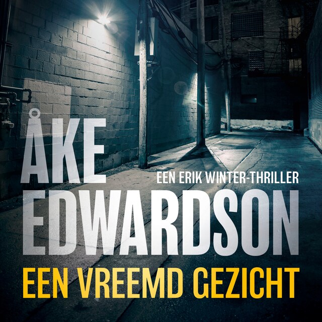 Book cover for Een vreemd gezicht