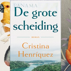 De grote scheiding - luisterboek