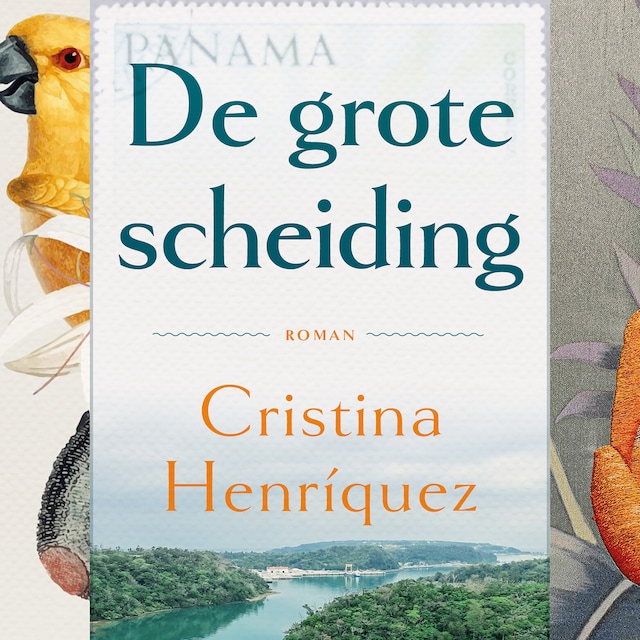 Book cover for De grote scheiding