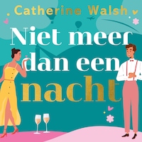 Niet meer dan een nacht