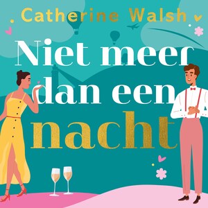 Niet meer dan een nacht - luisterboek