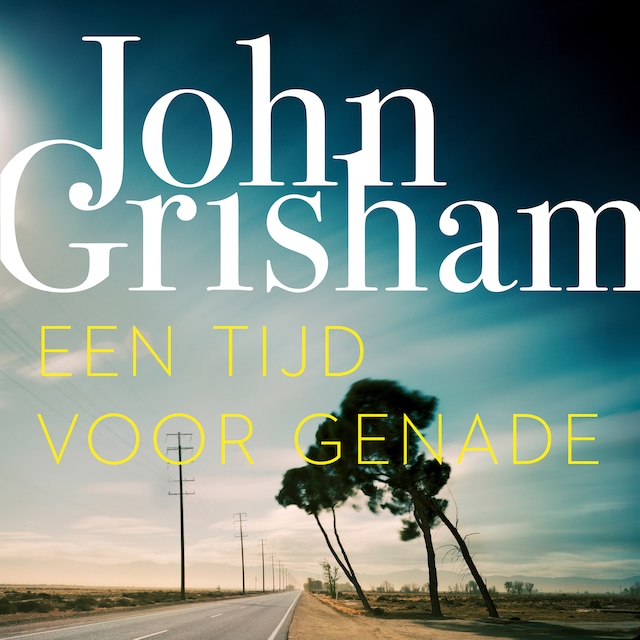 Book cover for Een tijd voor genade