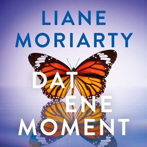 Dat ene moment - luisterboek