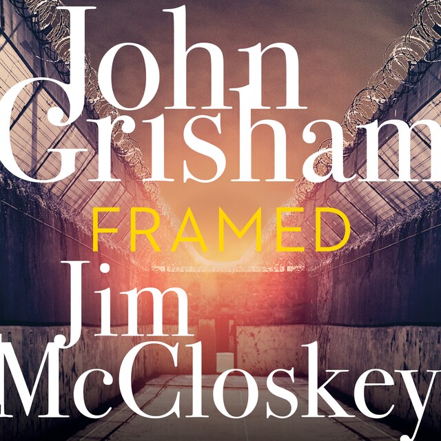 Book cover for Framed