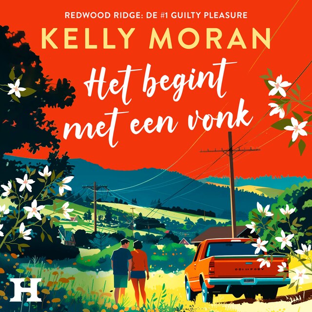 Couverture de livre pour Het begint met een vonk