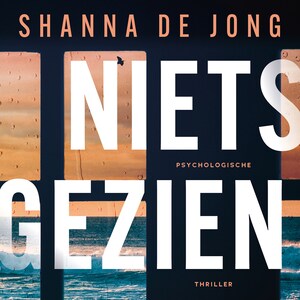 Niets gezien - luisterboek