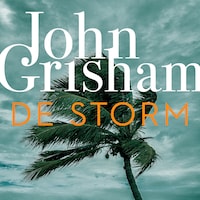 De storm