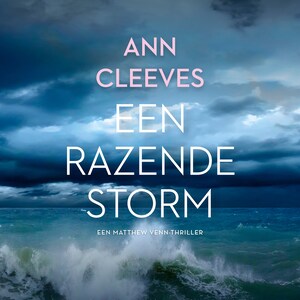 Een razende storm - luisterboek