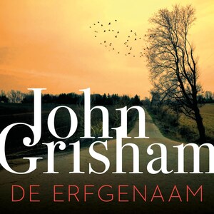 De erfgenaam - luisterboek