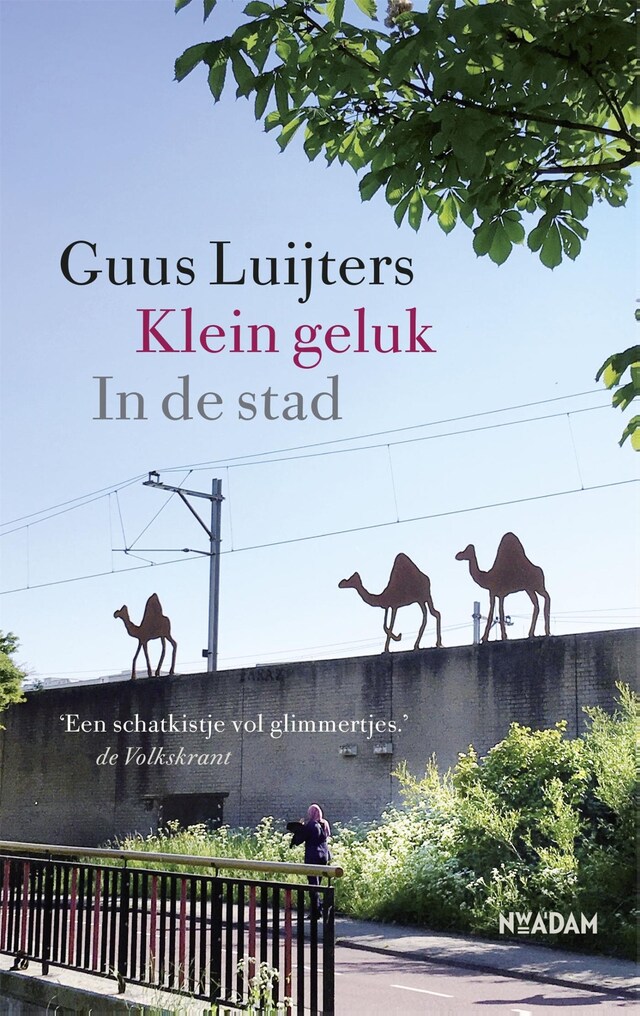 Book cover for Klein geluk In de stad