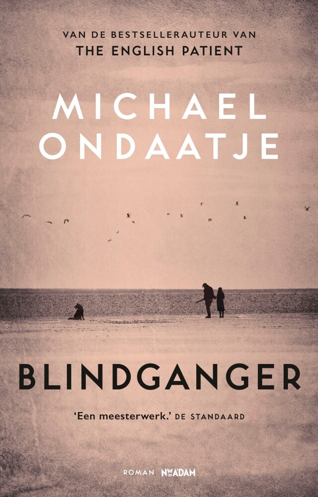 Book cover for Blindganger