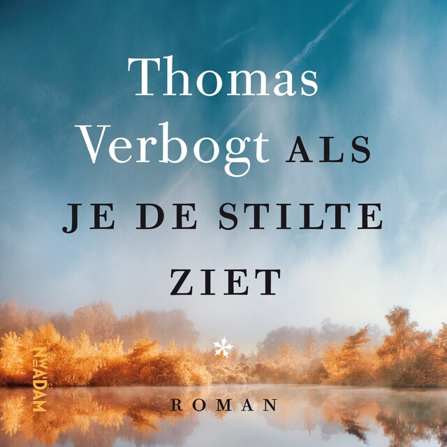 Book cover for Als je de stilte ziet