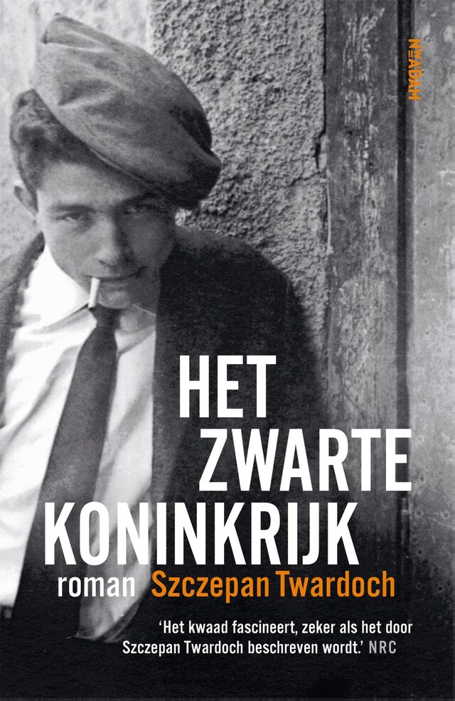 Book cover for Het zwarte koninkrijk