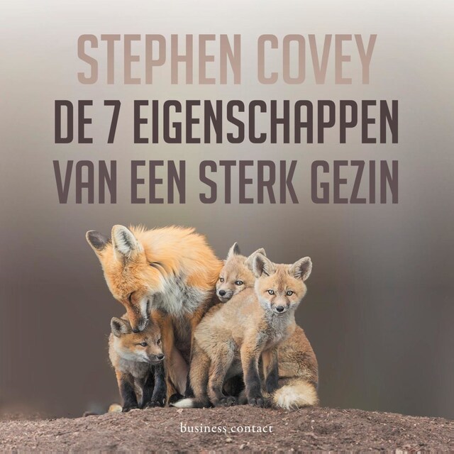 Book cover for De zeven eigenschappen van een sterk gezin