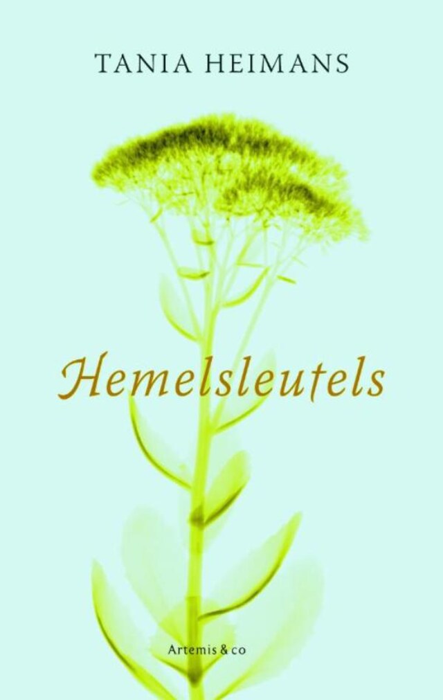 Bogomslag for Hemelsleutels