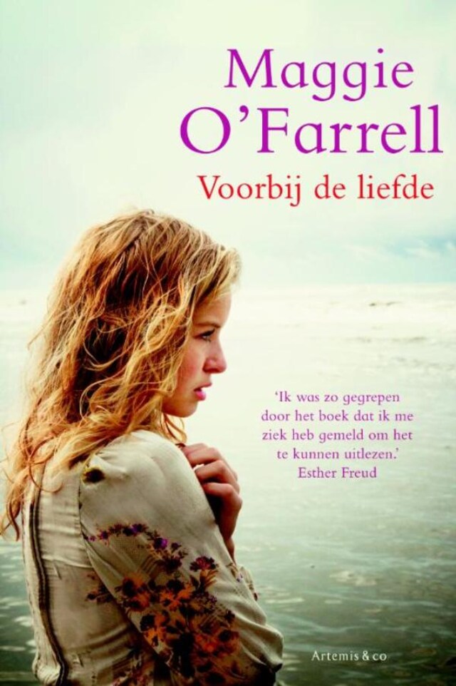 Book cover for Voorbij de liefde