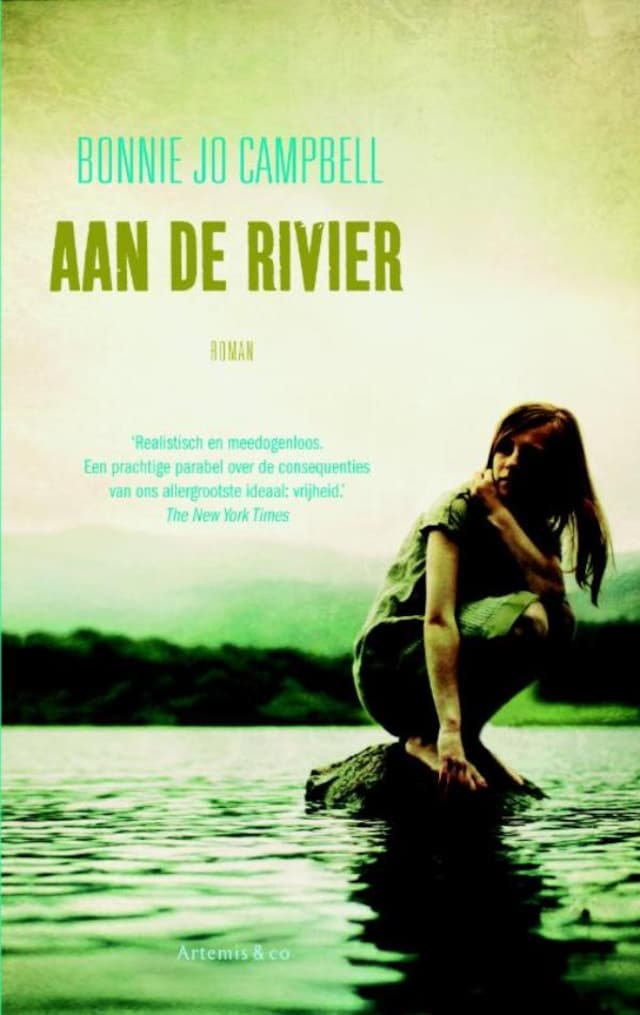 Buchcover für Aan de rivier