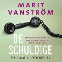 De schuldige