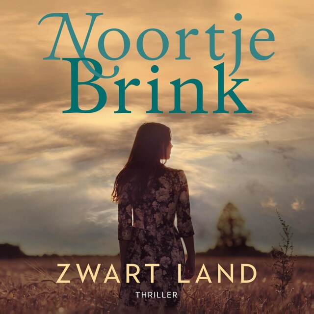 Book cover for Zwart land