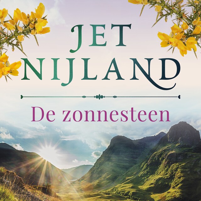 Book cover for De zonnesteen