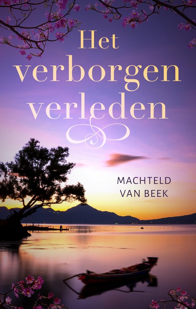 Book cover for Het verborgen verleden