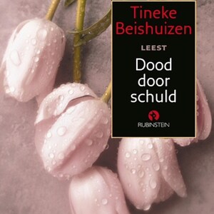 Dood door schuld - luisterboek