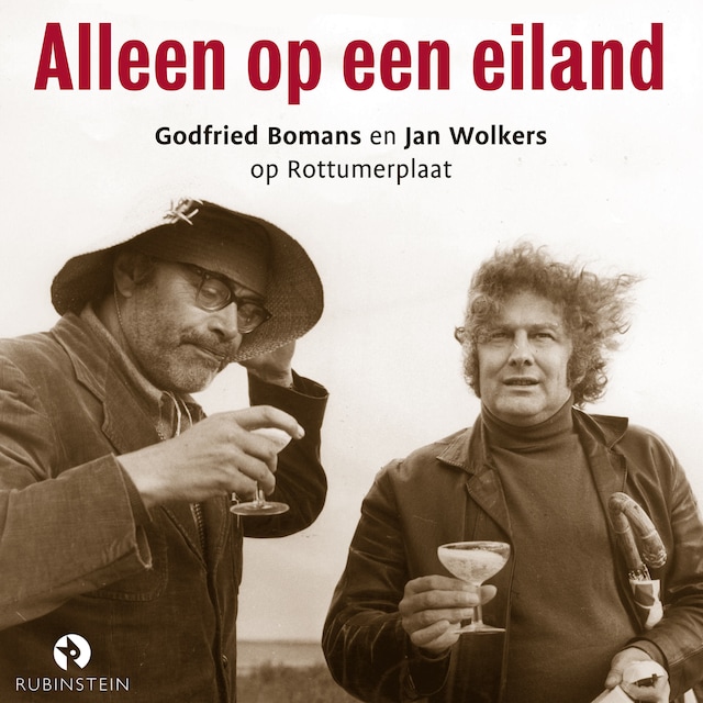 Book cover for Alleen op een eiland