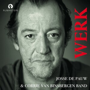 Werk - luisterboek