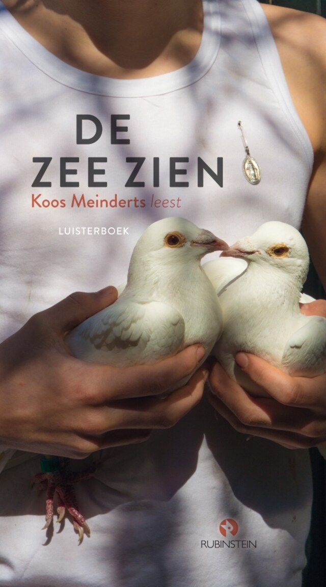 Book cover for De zee zien