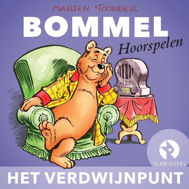 Copertina del libro per Het verdwijnpunt