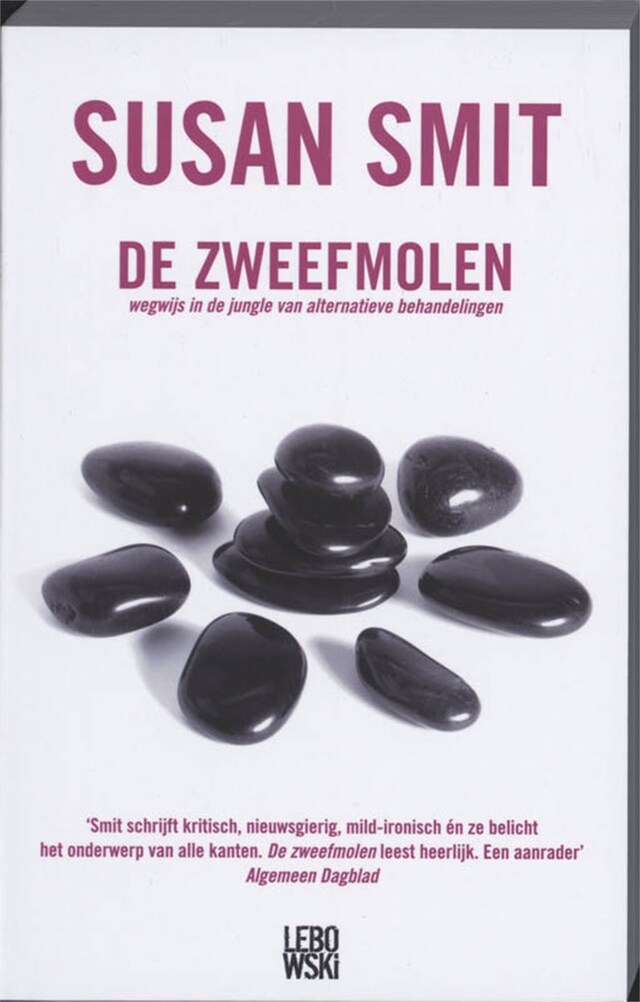 Book cover for De zweefmolen