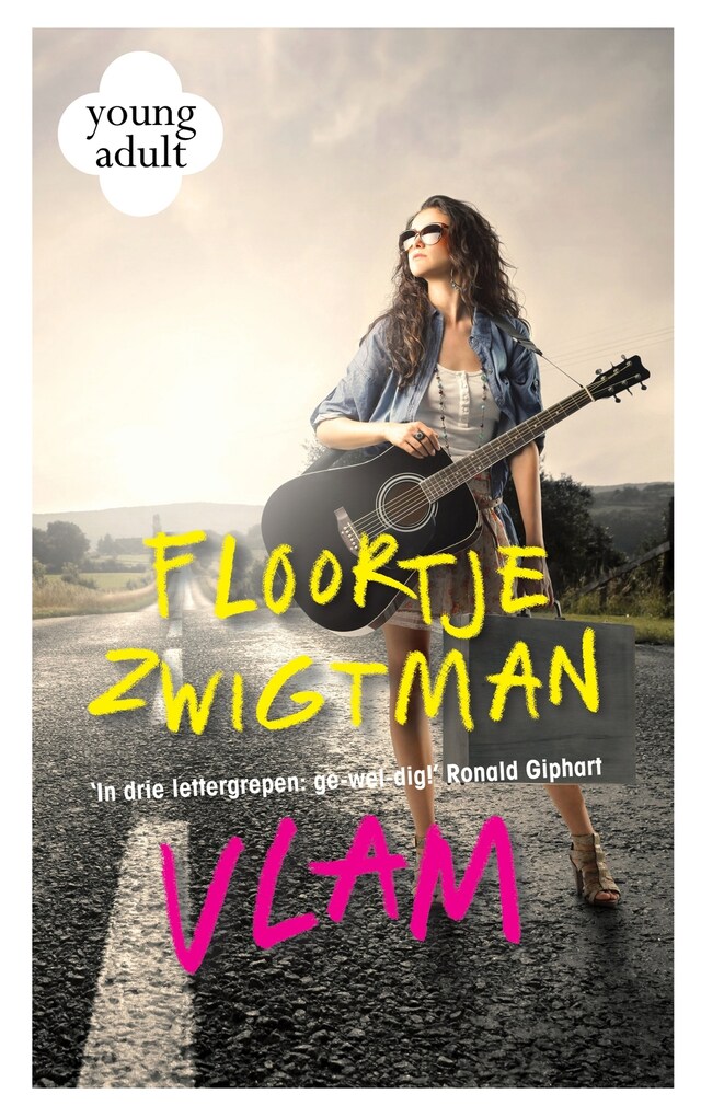 Buchcover für Vlam