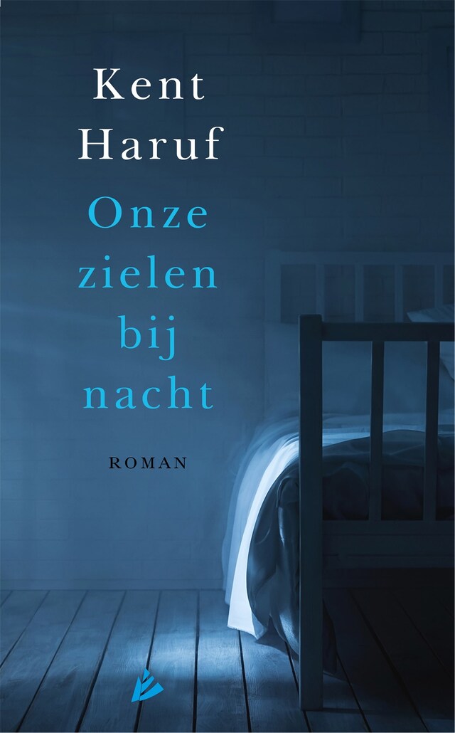 Copertina del libro per Onze zielen bij nacht