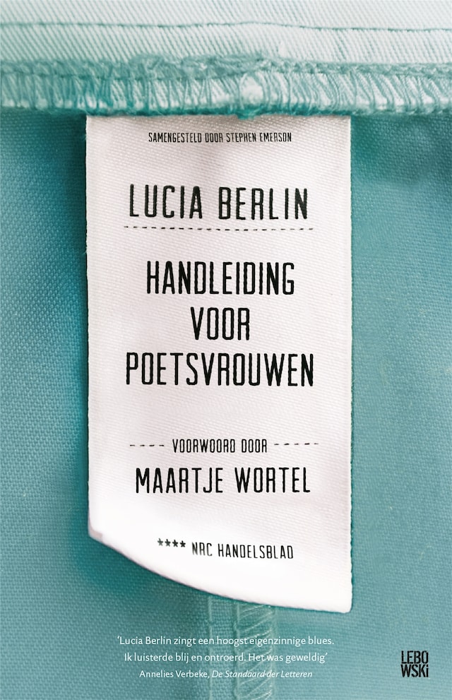 Book cover for Handleiding voor poetsvrouwen