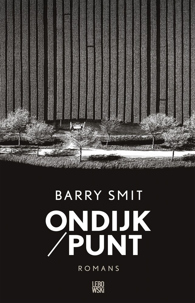 Book cover for Ondijk/Punt