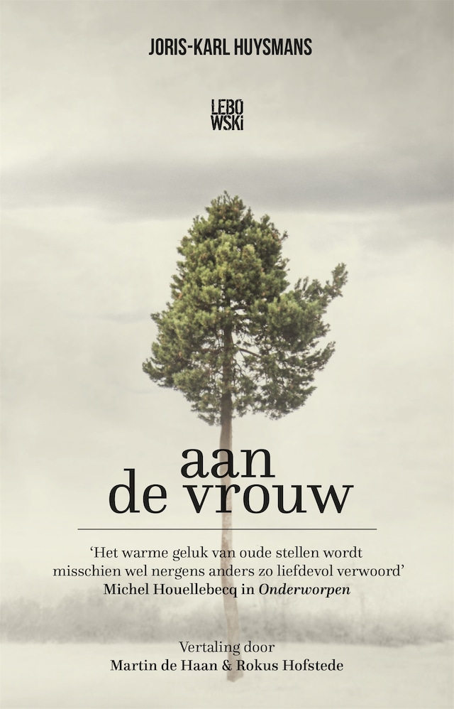 Book cover for Aan de vrouw