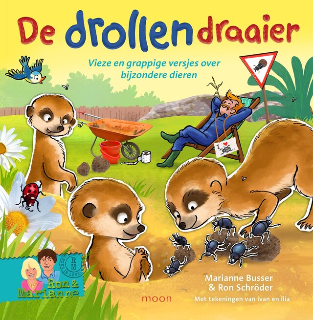 Book cover for De drollendraaier