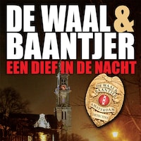 Een dief in de nacht