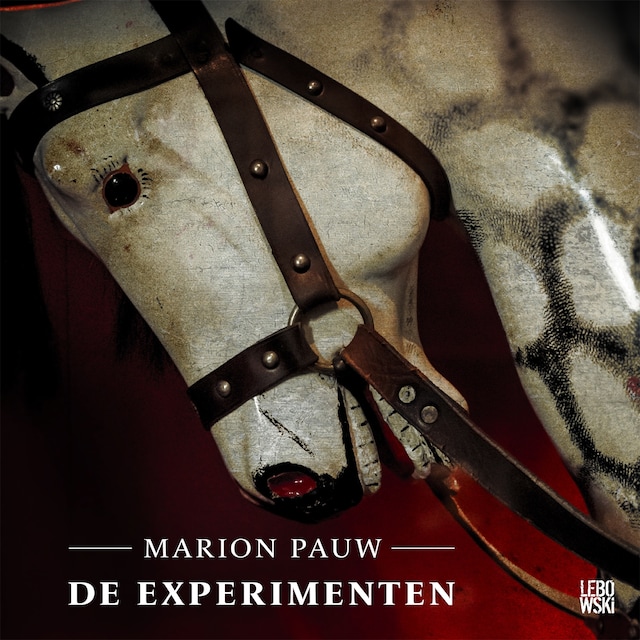 Buchcover für De experimenten